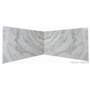 bianco argento white marble slabs polished 2cm 2 slabs bookmatching view2