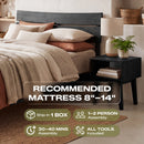 [Buy 1 Get 1] Aurora Solid Wood Bed Frame & Nightstand