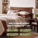 [Buy 1 Get 1] Aurora Solid Wood Bed Frame & Nightstand
