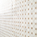 Bianco Dolomite Crema Dotty 12.88" x 12.88" Polished Marble Mesh-Mounted Mosaic Tile Pattern-MSI Collection