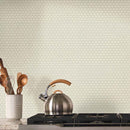 Almond penny round 11.57x12.4 glossy porcelain mesh mounted mosaic tile SMOT-PT-PENRD-ALM product shot kitchen view 2
