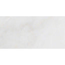 Arabescato carrara 12 x 12 honed marble floor and wall tile TARACARRA612 product shot one tile top view