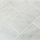 Arabescato carrara beveled 3 x 6 honed marble floor and wall tile TARACAR36H product shot multiple tiles top view