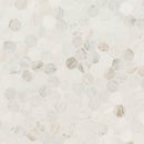 Arabescato venato white 11.73x12 marble 2 hexagon honed mesh mounted mosaic tile SMOT-ARAVEN-2HEXH product shot angle view