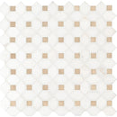 Bianco dolomite crema dotty 12.88X12.88 polished marble mesh mounted mosaic tile SMOT-BIANDOL-CEMDOTP product shot multiple tiles close up view