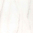 Cosmic White Pattern 16" x 24" Sandblast Marble Paver Kit product shot wall view
