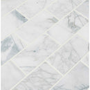 Calacatta cressa 3 in x 6 in honed marble floor and wall tile TCALCRE36H product shot one tile top view