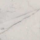 Calacatta gold 18 in x 18 in polished marble floor and wall tile TCALAGLD1818 product shot one tile top view