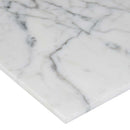Calacatta gold 18 in x 18 in polished marble floor and wall tile TCALAGLD1818 product shot tile profile view