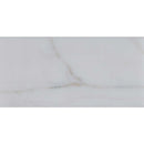Calacatta gold 3 in-x 6 in polished marble floor and wall tile TCALAGOLD36P product shot one tile top view