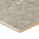 Calypso graphite 24x48 matte  porcelain floor and wall tile  msi collection NCALGRA2448 product shot profile view