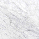 Carrara white 12 in x 12 in honed marble floor and wall tile TCARRWHT1212H product shot wall view
