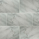 Carrara white 12 in x 24 in honed marble floor and wall tile TCARRWHT1224H product shot multiple tiles top view