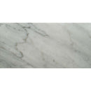 Carrara white 12 in x 24 in honed marble floor and wall tile TCARRWHT1224H product shot one tile top view