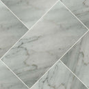 Carrara white 12 in x 24 in honed marble floor and wall tile TCARRWHT1224H product shot multiple tiles top view