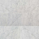 Carrara white 12 in x 24 in polished marble floor and wall tile TCARRWHT1224 product shot multiple tiles top view