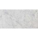 Carrara white 12 in x 24 in polished marble floor and wall tile TCARRWHT1224 product shot one tile top view