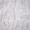 Carrara white 18 in x 18 in polished marble floor and wall tile TCARRWHT181838 product shot multiple tiles top view