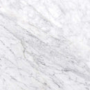 Carrara white 18 in x 18 in polished marble floor and wall tile TCARRWHT181838 product shot one tile top view