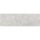 Carrara white 4 in x 12 in honed marble floor and wall tile TCARWHT412H product shot one tile top view
