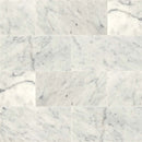 Carrara white 6 in x 12 in polished marble floor and wall tile TCARWHT612P product shot multiple tiles top view