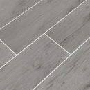 Celeste Gray Seas 8"x40" Glazed Ceramic Floor and Wall Tile- MSI Collection
