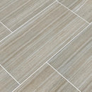 Charisma Silver 12"x24" Glazed Ceramic Floor and Wall Tile- MSI Collection