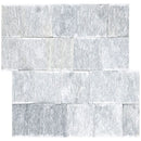 Cosmic gray ledger panel 6"x24" splitface marble wall tile LPNLMCOSGRY624 product shot top view 6