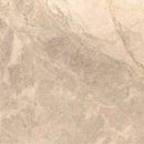 Creama cappuccino 18 in x 18 in polished marble floor and wall tile TTCAPU1818P product shot wall view