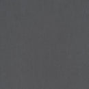 Dimensions Graphite 12"x24" Glazed Porcelain Floor And Wall Tile NDIMGRA1224-N product shot wall view