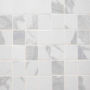 Eden statuary 12x12 porcelain matte meshmounted mosaic tile NEDEST2X2 product shot wall view