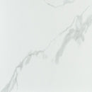 Eden Statuary 12"x24" Matte Porcelain Floor and Wall Tile NEDESTA1224 product shot wall view 2