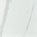 Eden Statuary 12"x24" Matte Porcelain Floor and Wall Tile NEDESTA1224 product shot wall view 3