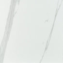 Eden Statuary 12"x24" Matte Porcelain Floor and Wall Tile NEDESTA1224 product shot wall view 7