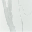 Eden Statuary 12"x24" Polished Porcelain Floor and Wall Tile NEDESTA1224P product shot wall view