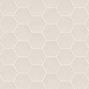 Hexley dove 9x10.5 hexagon matte porcelain field tile  msi collection NHEXDOV9X10.5HEX product shot wall view