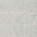 Kaya carrara bianco 24x24 matte porcelain floor and wall tile NKAYCARBIA2424 product shot wall view 2