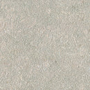 Seagrass Sandblast Limestone Pool Coping - MSI Collection