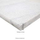 Sierra White Sandblasted Marble Pool Coping - MSI Collection
