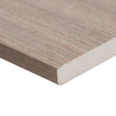 Fauna 13"x24" Matte Porcelain Eased Edged Pool Coping - MSI Collection product shot tile view 2