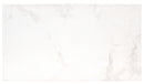 Praia Carrara 13"x24" Matte Porcelain Pool Coping product shot tile view