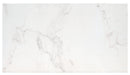 Praia Carrara 13"x24" Matte Porcelain Pool Coping product shot tile view 2