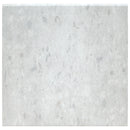 Arterra Terrazo Glacier 13"x24" Porcelain Pool Coping - MSI Collection product shot tile view 2