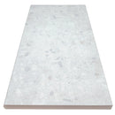 Arterra Terrazo Glacier 13"x24" Porcelain Pool Coping - MSI Collection product shot tile view 4
