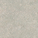 Seagrass Sandblast Limestone Paver Tile - MSI Collection