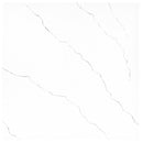 Miraggio Gray 24''x24'' Matte Porcelain Paver Floor Tile - MSI Collection product shot wall view