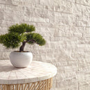 Potted bonsai tree on a round marble table with a light stone wall background