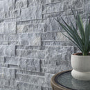Gray stone wall with a potted plant on a table