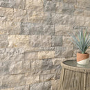 Stone wall with a potted plant on a table