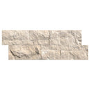Stone tile with a beige and brown pattern on a white background